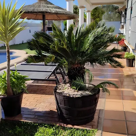 Holiday home Chalet Grande Con Piscina Parejas Y Familias Conil De La Frontera