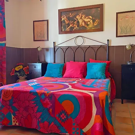 Chalet Grande Con Piscina Parejas Y Familias * Conil De La Frontera