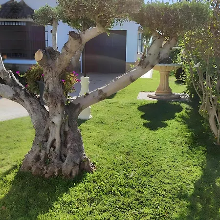 Chalet Grande Con Piscina Parejas Y Familias Conil De La Frontera